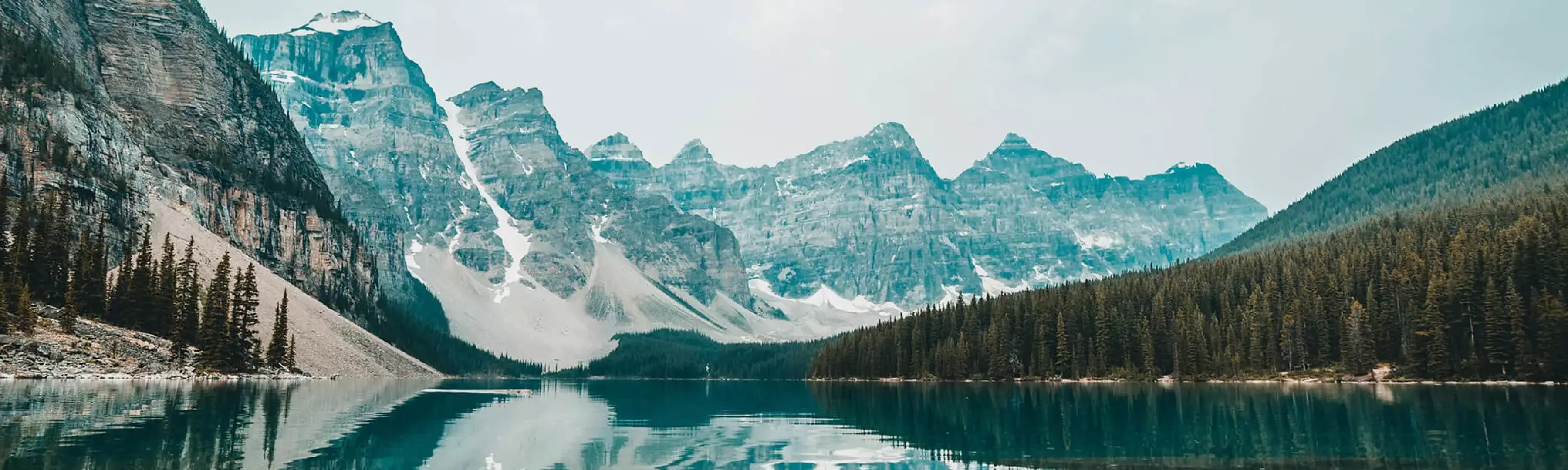 Asha Adderley Arlington Hight [ Book now ]